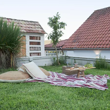 Bleu Maison- Muxica Do Campo 3 Arís